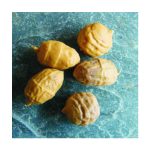 Enterprise Tackle Tiger Nuts Scufundator