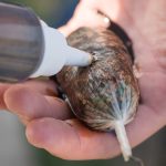 SBS Premium PVA Liquid, C1, 200ml - imagine 2