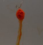 Karper Pelete Cu Dispersie Sn 6mm - imagine 2