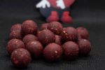 Boilies Dudi Baits Forest Squid tari 20mm, 1kg - imagine 2