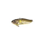 Cicada Strike Pro Astro Vibe 146OBE 4,5Cm/9,6G