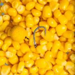 Carlige Nash Pinpoint Continental, Micro Barbed, nr.6 - imagine 5