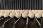 Pop Up Forgotten Flavours Nutty Maple, 12mm - imagine 3