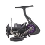 Mulineta Daiwa Prorex LT