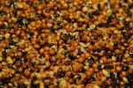 Seminte preparate Dynamite Baits Frenzied Feeder Particle Mix, 2.5L - imagine 2