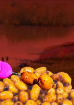 Seminte preparate Dynamite Baits Frenzied Jumbo Tiger Nuts Boosted Hookbaits, 500ml - imagine 2
