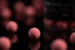Sticky Wafters Krill Pink, 16mm - imagine 4