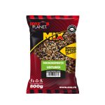 Microseminte Usturoi Senzor, 800gr - imagine 2