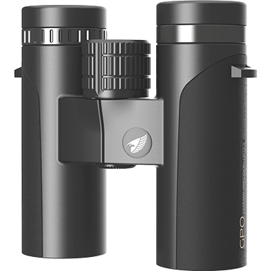 Binoclu Gpo Passion 8x32 mm ED Black