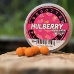 Forgotten Flavours Pop-Up Mulberry 10mm