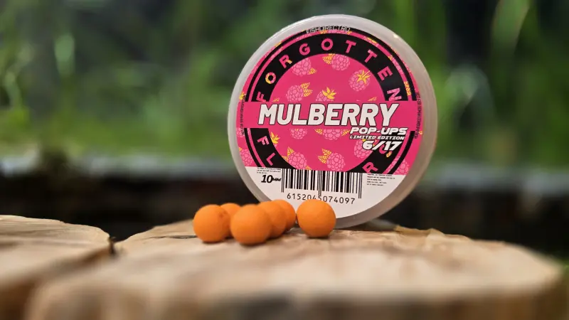 Forgotten Flavours Pop-Up Mulberry 10mm