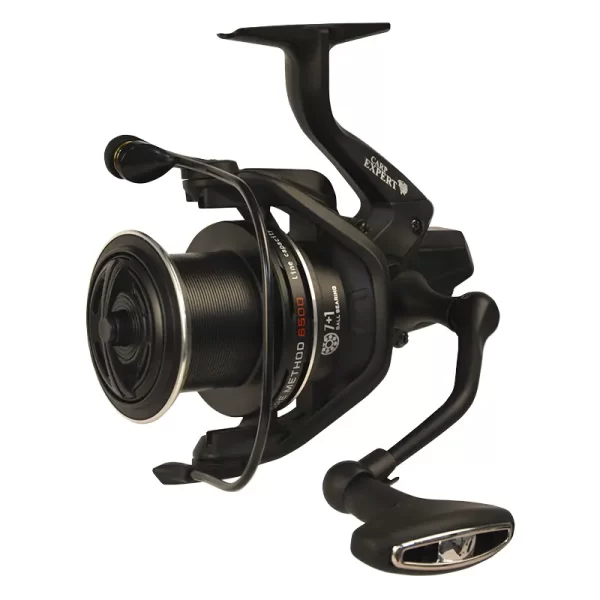 Mulineta Carp Expert Score Method 6500